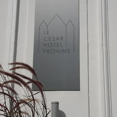 Hotel Le Cesar Provins