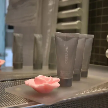 Le César 4* Provins