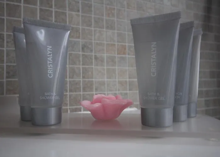 Hotel Le César Provins