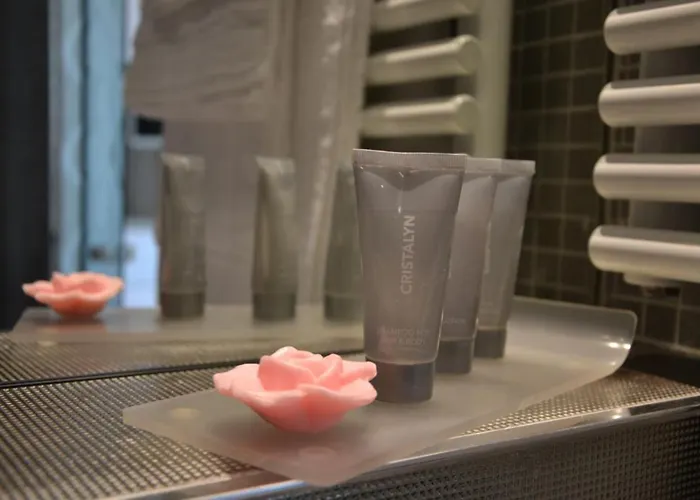 Le César 4* Provins