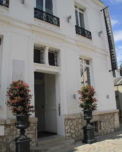 Hotel Le César